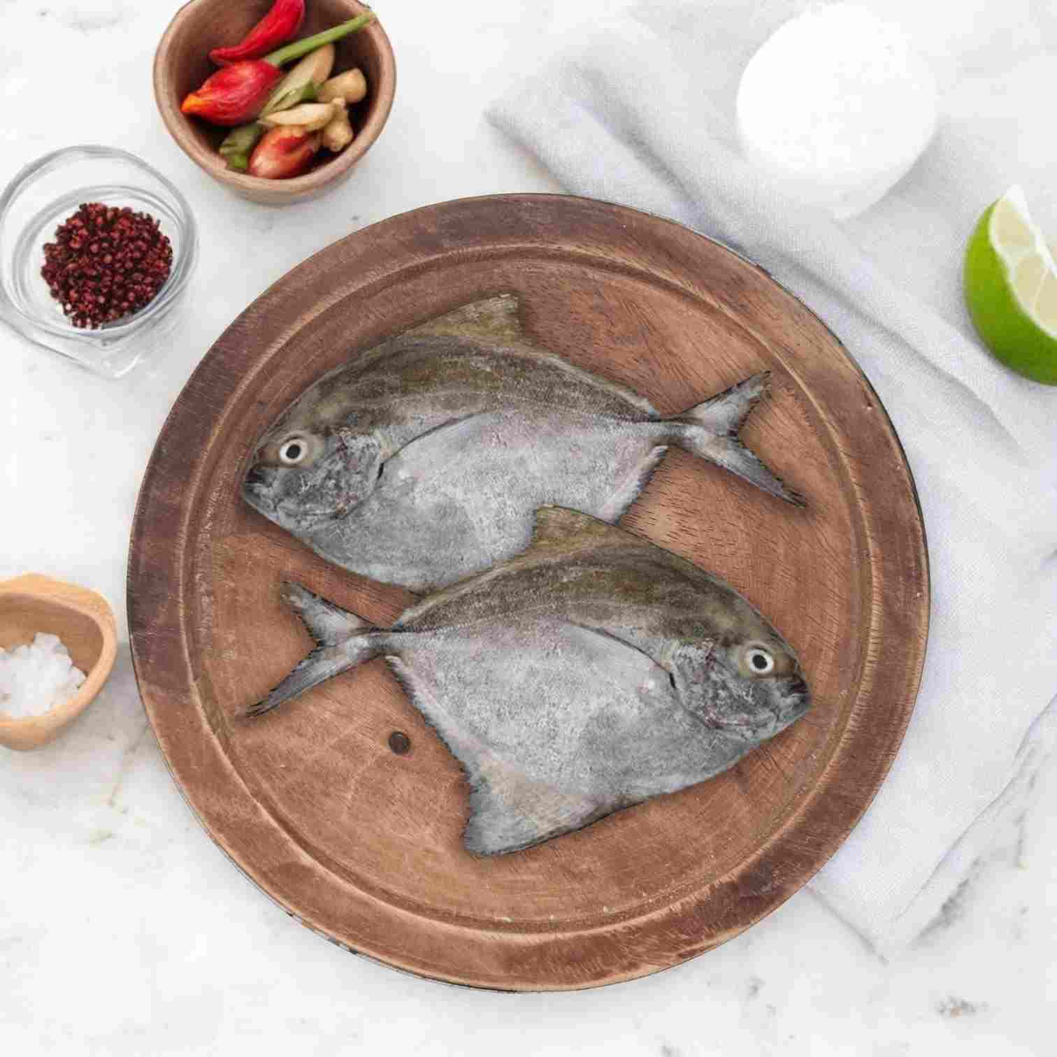 Black Pomfret